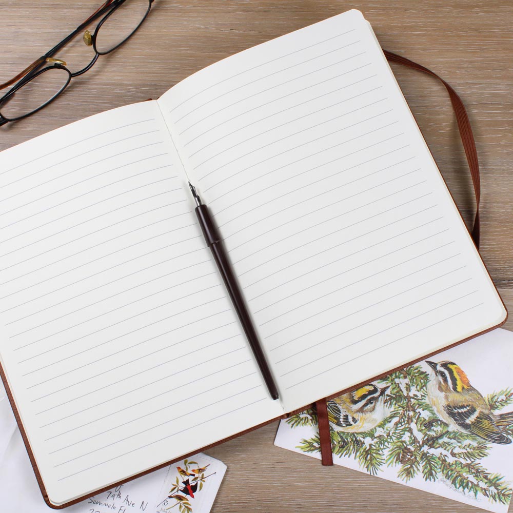 My Kidney Warrior Journey - Journal